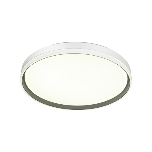 7631/DL PALE SN 160 Светильник пластик/светло-серый LED 48Вт 3000-6300K D390 IP43 пульт ДУ SAVI фото 5 7631/DL PALE SN 160 Светильник пластик/светло-серый LED 48Вт 3000-6300K D390 IP43 пульт ДУ SAVI фото 5