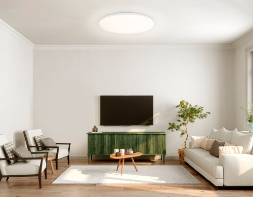 Умный светодиодный светильник с пультом 3000K-6500K+RGB 30Вт IP54 (Tuya,Smart Home,Яндекс Алиса) фото 8