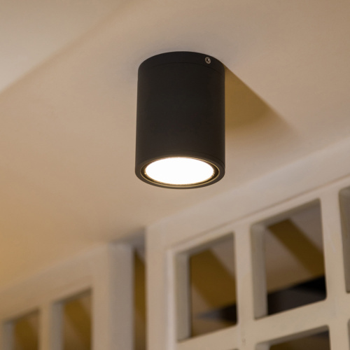 Потолочный фонарь Natural Concepts, Арт. NC-033072-DG фото 7