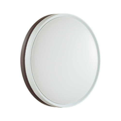 Настенно-потолочный светодиодный светильник Sonex Color Nohava Brown 7668/EL фото 5