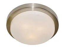 Потолочный светильник Arte Lamp AQUA A8510PL-3SS