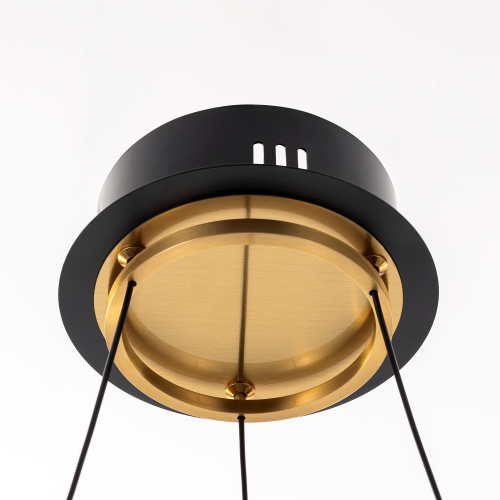 Citilux HELLY CL211042 Подвесная светодиодная люстра фото 9 Citilux HELLY CL211042 Подвесная светодиодная люстра фото 9