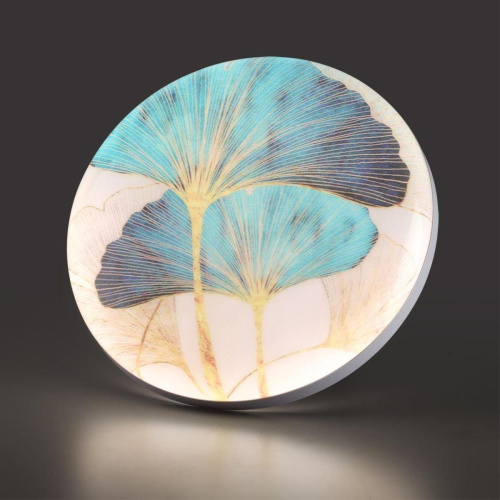 Настенно-потолочный светодиодный светильник Sonex Pale Floren 7747/DL фото 8