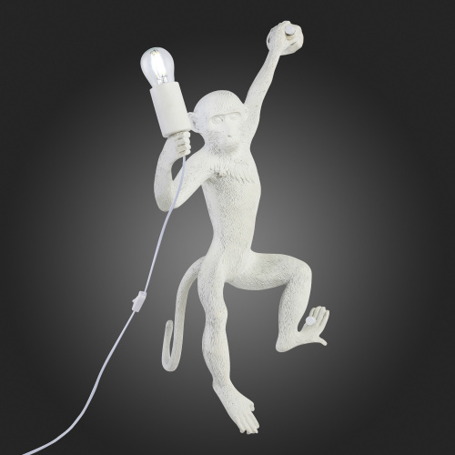 SLE115111-01 Светильник настенный Белый E27 1*60W TENATO фото 3