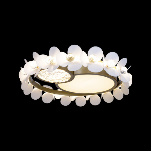 10173 Потолочный светильник LOFT IT Bride фото 2