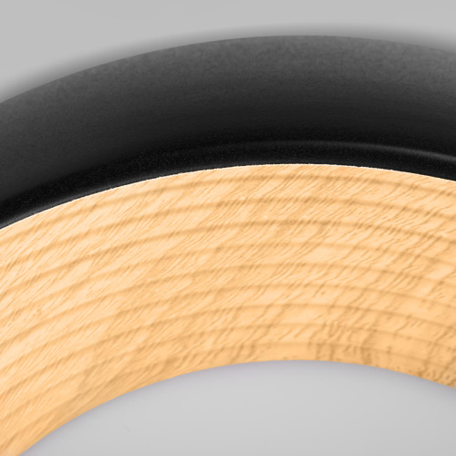 10255/350 Black Потолочный светильник LOFT IT Folk фото 4