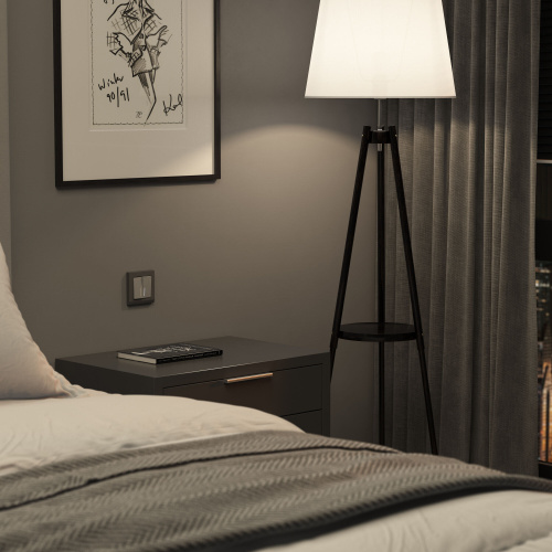 Выключатель двухклавишный с подсветкой (серебряный матовый) W1120165 фото 5 Выключатель двухклавишный с подсветкой (серебряный матовый) W1120165 фото 5