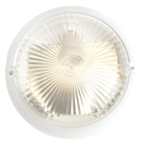 Светильник накладной IP54, 220V 60Вт Е27, НБП 06-60-001 фото 6