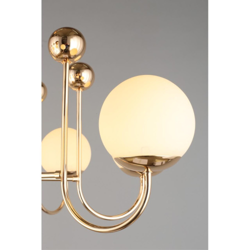 Люстра потолочная OML-67007-08 фото 7 Люстра потолочная OML-67007-08 фото 7