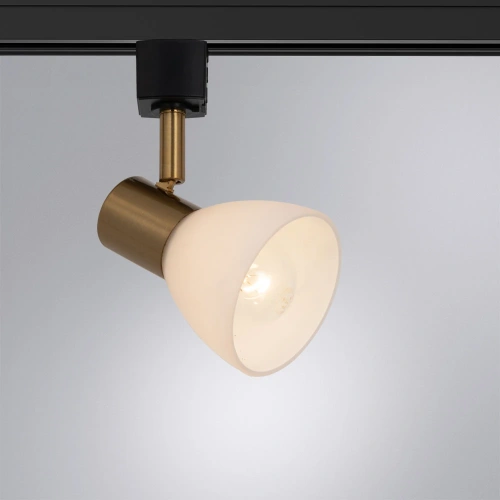 Трековый светильник Arte Lamp FALENA A3117PL-1BK фото 2 Трековый светильник Arte Lamp FALENA A3117PL-1BK фото 2