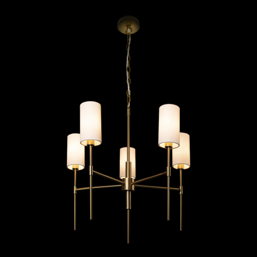 10307 Brass Подвесной светильник LOFT IT Comfy фото 7