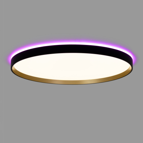 Citilux ETALON CL750501R LED RGB Светильник с пультом Чёрный+Золото фото 7 Citilux ETALON CL750501R LED RGB Светильник с пультом Чёрный+Золото фото 7