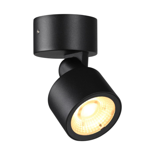 359586 STREET NT25 694 черный Светильник ландшафтный светодиодный IP65 LED 9W 3000К 100-240V FOCUS фото 4 359586 STREET NT25 694 черный Светильник ландшафтный светодиодный IP65 LED 9W 3000К 100-240V FOCUS фото 4
