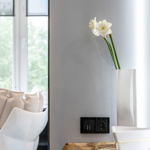 Рамка из стекла на 2 поста Favorit черный W0021108 фото 5 Рамка из стекла на 2 поста Favorit черный W0021108 фото 5