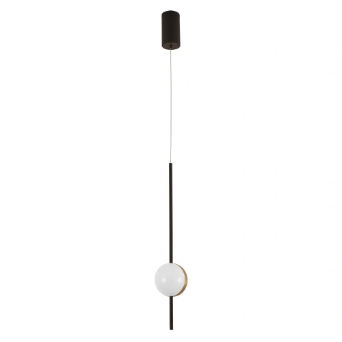 Подвесной светильник Arte Lamp FURUD A2124SP-1BK фото 3