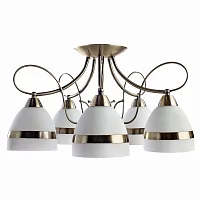 Потолочная люстра Arte Lamp NOEMI A6192PL-5AB
