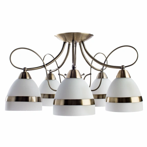 Потолочная люстра Arte Lamp NOEMI A6192PL-5AB