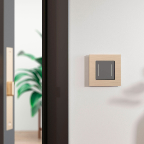 Рамка из металла на 1 пост АluMax шампань алюминий W0013511 фото 2