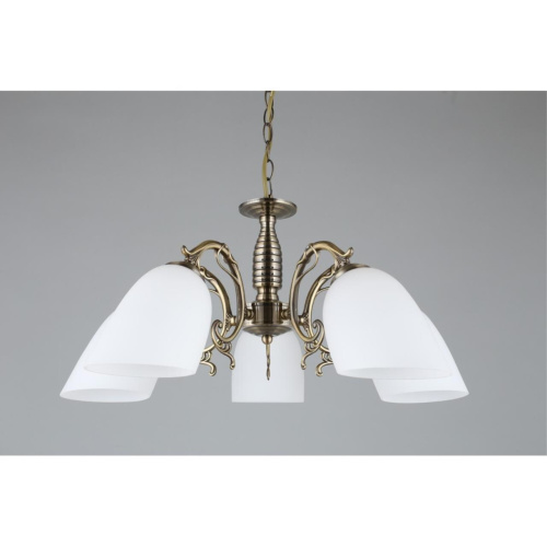 Люстра подвесная OML-56407-05 фото 7