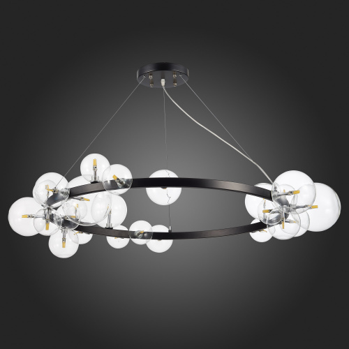 SL1165.403.24 Светильник подвесной ST-Luce Черный/Прозрачный G4 24*5W NECTON фото 6 SL1165.403.24 Светильник подвесной ST-Luce Черный/Прозрачный G4 24*5W NECTON фото 6