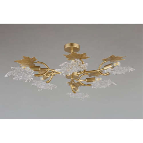 Люстра потолочная OML-52707-06 фото 9 Люстра потолочная OML-52707-06 фото 9