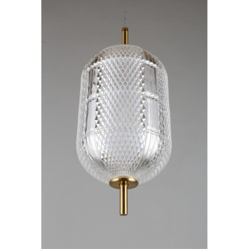 Светильник подвесной OML-68806-01 фото 7 Светильник подвесной OML-68806-01 фото 7