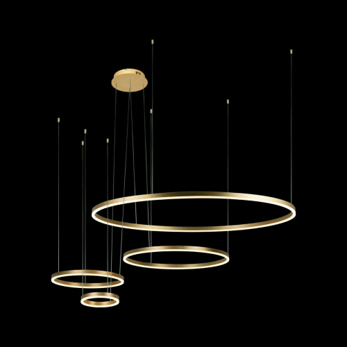 10017/4M Подвесной светильник LOFT IT Ring фото 4 10017/4M Подвесной светильник LOFT IT Ring фото 4