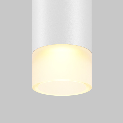 Трековый подвесной светильник Technical TR191-1-3W2.7K-M-BW фото 8