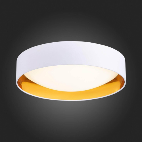 Потолочный светодиодный светильник Evoluce Orbio SLE201122-01 фото 2