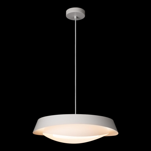 10256P White Подвесной светильник LOFT IT Petale фото 10