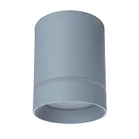 Точечный накладной светильник Arte Lamp ELLE A1909PL-1GY