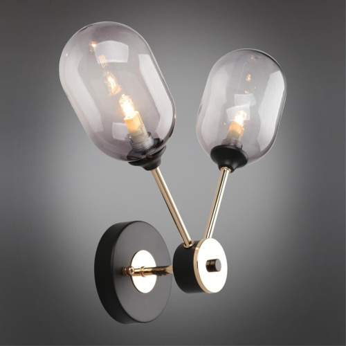 Светильник настенный (Бра) OML-94801-02 фото 3