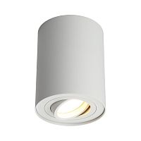 Светильник встраиваемый-накладной OML-101009-01