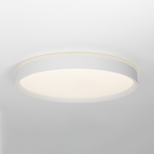 Citilux BOSS CL751450G LED RGB Светильник с пультом Белый фото 5