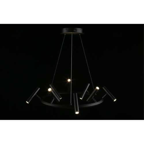 Люстра подвесная APL.067.03.40 фото 11 Люстра подвесная APL.067.03.40 фото 11