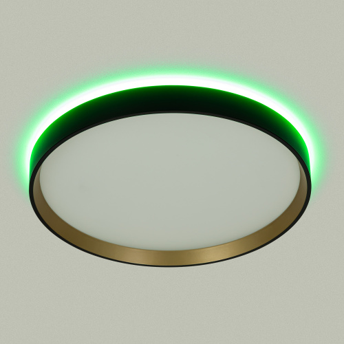 Citilux ETALON CL750321R LED RGB Светильник с пультом Чёрный+Золото фото 4 Citilux ETALON CL750321R LED RGB Светильник с пультом Чёрный+Золото фото 4