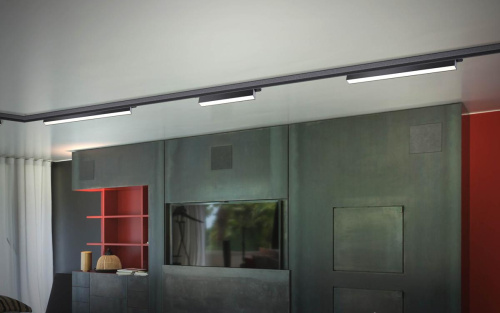 Трековый трехфазный светодиодный светильник Novotech Port Iter 358837 фото 2