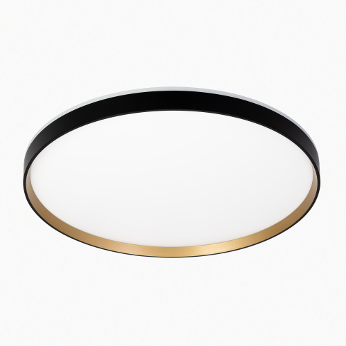 Citilux ETALON CL750501R LED RGB Светильник с пультом Чёрный+Золото фото 2 Citilux ETALON CL750501R LED RGB Светильник с пультом Чёрный+Золото фото 2
