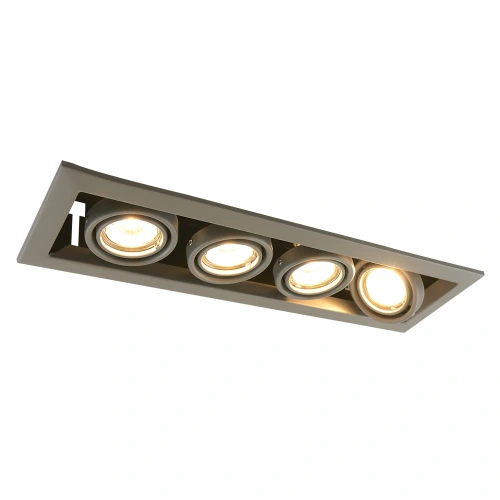 Карданный светильник Arte Lamp CARDANI PICCOLO A5941PL-4GY Карданный светильник Arte Lamp CARDANI PICCOLO A5941PL-4GY
