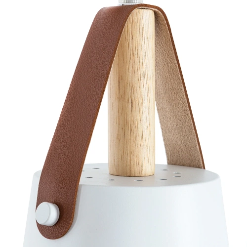 Подвесной светильник Arte Lamp THOMAS A7032SP-1WH фото 3 Подвесной светильник Arte Lamp THOMAS A7032SP-1WH фото 3