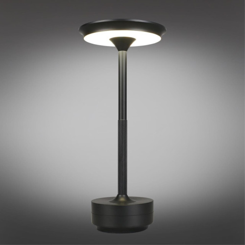 Настольная лампа APL.064.24.05 фото 3