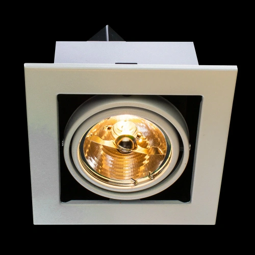 Карданный светильник Arte Lamp CARDANI MEDIO A5930PL-1WH фото 2