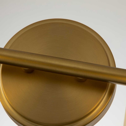 Бра для ванных комнат Quoizel, Арт. QZ-SWELL2-BB-BATH фото 5