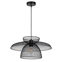 Подвесной светильник Arte Lamp CASTELLO A7067SP-1BK