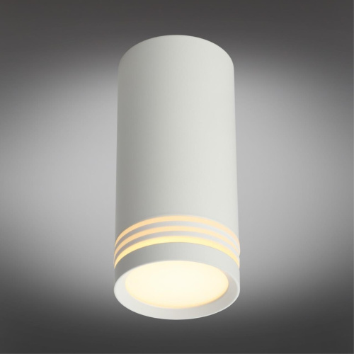 Светильник встраиваемый-накладной OML-100809-01 фото 4