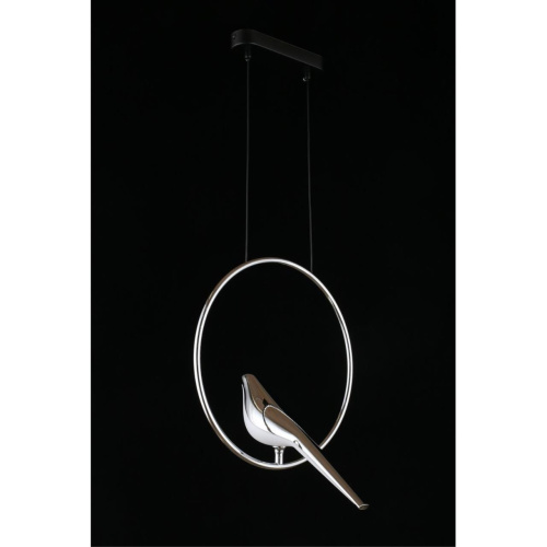 Светильник подвесной APL.822.16.10 фото 11 Светильник подвесной APL.822.16.10 фото 11