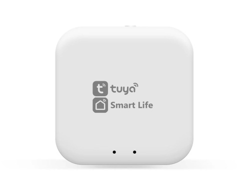 Wi-Fi конвертер управления светильниками SMART 3000K-6000K Tuya/Smart life Wi-Fi конвертер управления светильниками SMART 3000K-6000K Tuya/Smart life