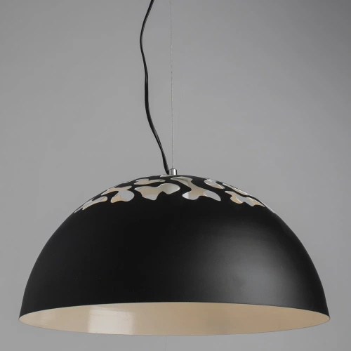 Подвесной светильник Arte Lamp PALEOLUS A3815SP-1BK фото 2 Подвесной светильник Arte Lamp PALEOLUS A3815SP-1BK фото 2