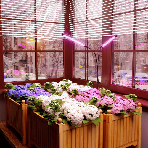 Светильник для растений на прищепке 16 Вт FT-005 чёрный фото 10 Светильник для растений на прищепке 16 Вт FT-005 чёрный фото 10