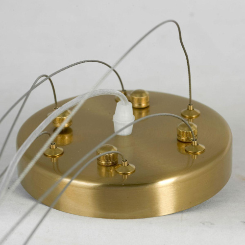 Подвесная люстра Lussole Lauderdale LSP-8598 фото 2